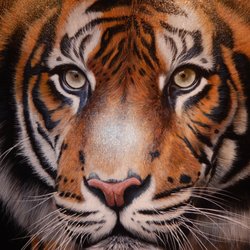 Trew Art