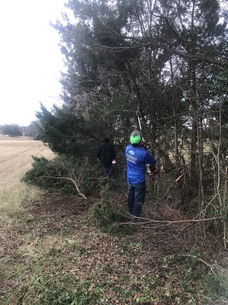 BRENHAM YARD PROS Updated August 2024 2740 Jasmine St, Brenham