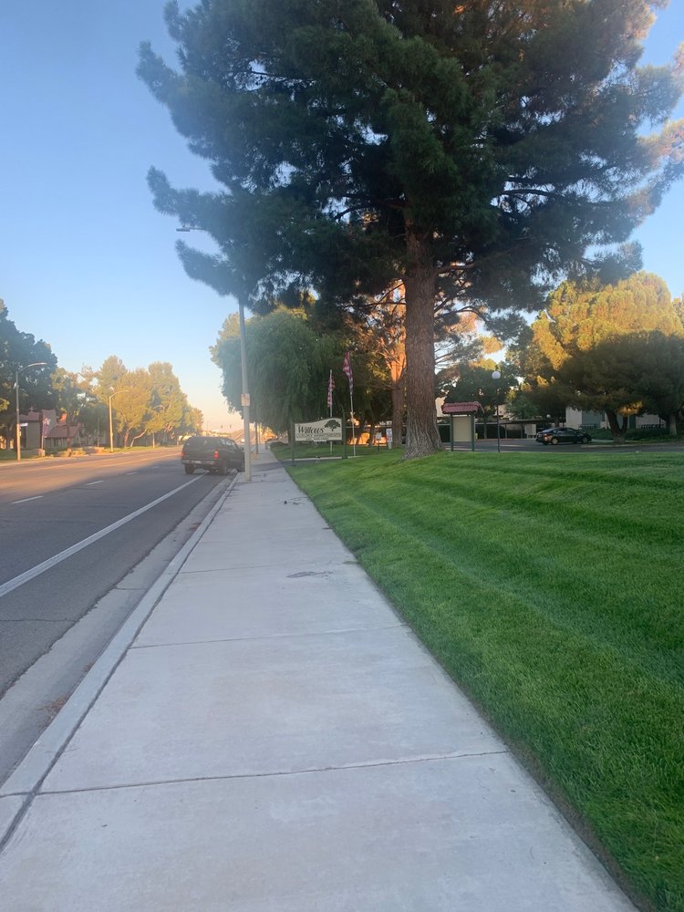 WILLOWS APARTMENTS Updated October 2024 1608 W Avenue K8, Lancaster