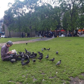 Piccadilly Gardens - At least 10 of them have only one leg.. - Parks Near Me - Manchester, XGM Piccadilly Gardens - At least 10 of them have only one leg.. - Parks Near Me - Manchester, XGM