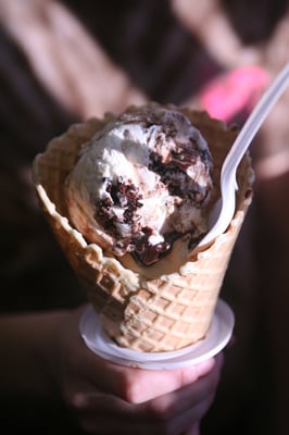 Milford Dairy Bar by null