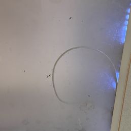 Rat droppings above in the light fixtures. Rat droppings above in the light fixtures.