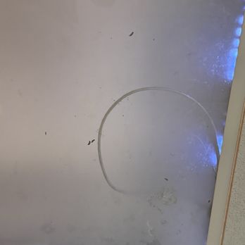 Vera Cortez Hill - Rat droppings above in the light fixtures. - Apartments Near Me - San Diego, California Vera Cortez Hill - Rat droppings above in the light fixtures. - Apartments Near Me - San Diego, California
