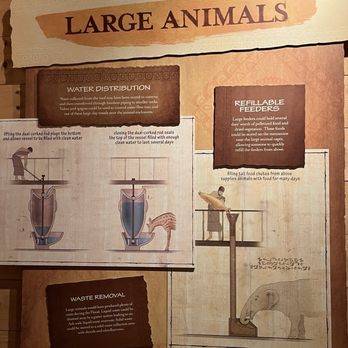 Ark Encounter - Animal management - Museums Near Me - Williamstown, Kentucky