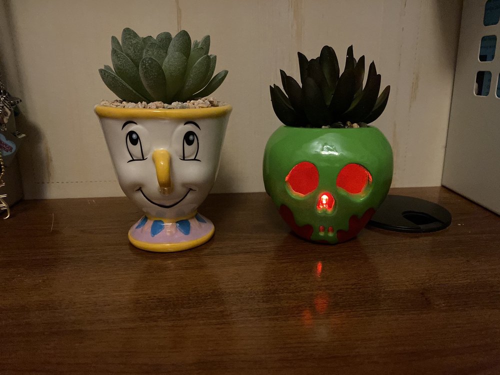 BOXLUNCH Updated October 2024 31 Photos & 23 Reviews 1689 Arden