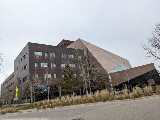 University of Minnesota by null