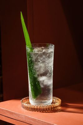 Tipsy Thaiger by null
