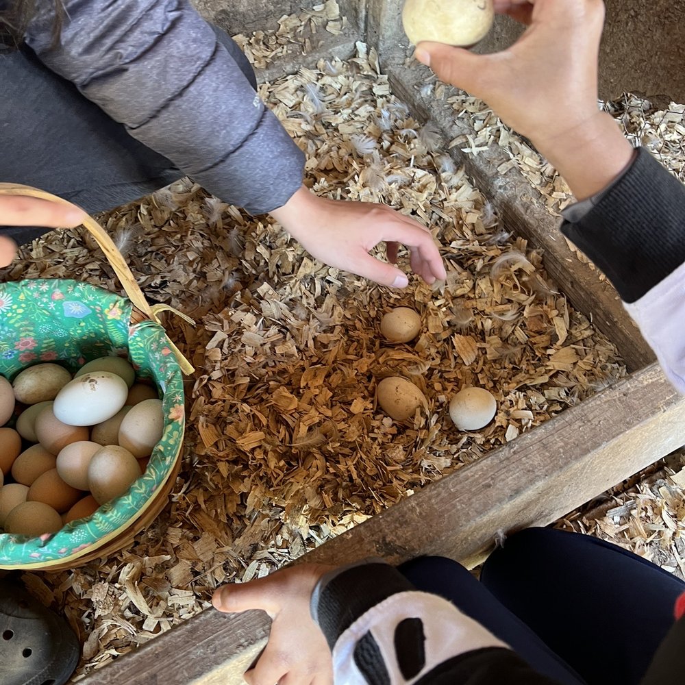 Back-to-Eden Ranch - Attraction Farms Near Me - Gilroy, California