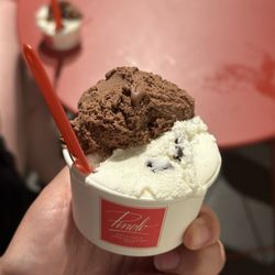 Pinolo Gelato - Stracciatella and chocolate
