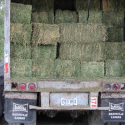 Quality Hay Sales of Florida - Beautiful green hay from Canada!