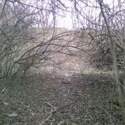Mengerson Nature Reserve