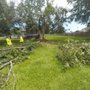 Big Axe Tree Service