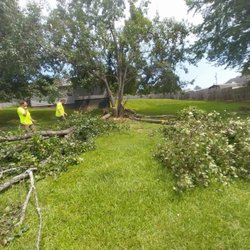 Big Axe Tree Service