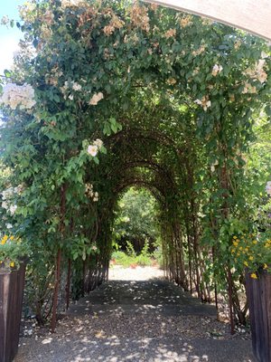 TWOMEY Anderson Valley by null