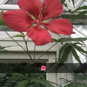 Volunteer Park - Parks Near Me - Seattle, Washington