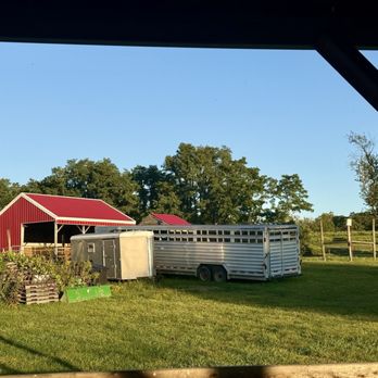 John Fazio BBQ & Pizza - Barbeque Near Me - Modena, New York