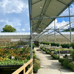 Painters Greenhouse