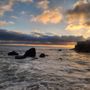 Shaws Cove