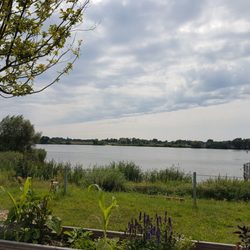 Elbkantinchen