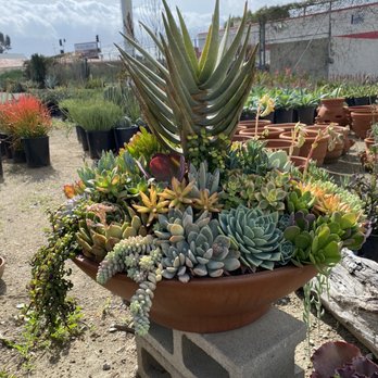 Green Touch Nursery - Nurseries & Gardening Near Me - Bellflower, California Green Touch Nursery - Nurseries & Gardening Near Me - Bellflower, California