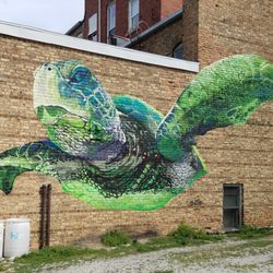 Sea Turtle - Sea Turtle by Cameron Moberg (Camer1) 2019 #RenArtWlk