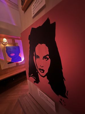 The Franklin Castle (Hannes Tiedemann House) by null