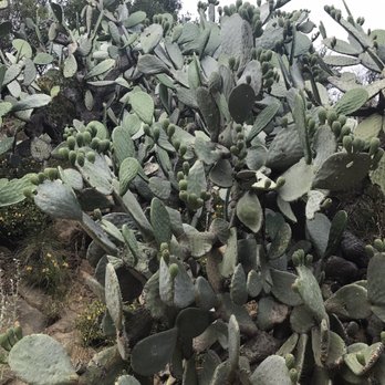 San Ysidro Falls Trail - Hiking Near Me - Montecito, California