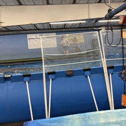 Canine Rehabilitation & Conditioning Group