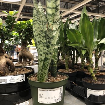 IKEA - Home Decor Near Me - San Diego, California