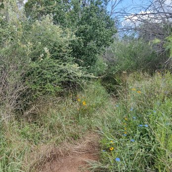 Inks Lake State Park - Parks Near Me - Burnet, Texas