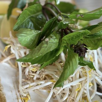 Pho 92 Dia - 4V. Vegetarian Pho Noodle Soup - Vietnamese Near Me - Denver, Colorado
