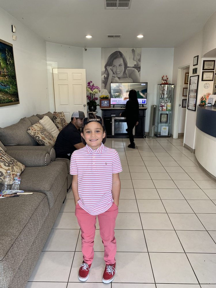 CARSON DENTAL CARE 35 Photos & 41 Reviews 240 W Carson St, Carson