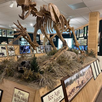 North American Bear Center - Prehistoric bear remains - Zoos Near Me - Ely, Minnesota North American Bear Center - Prehistoric bear remains - Zoos Near Me - Ely, Minnesota