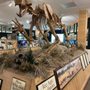Photo of North American Bear Center