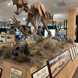 North American Bear Center - Prehistoric bear remains