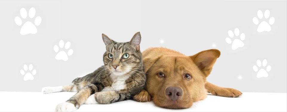 Pet Center