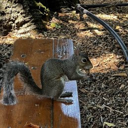 The outside area has some friendly neighbors! The outside area has some friendly neighbors!