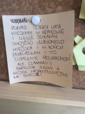 Menu photo 1 Przystanek Pierogarnia Kraków, DS