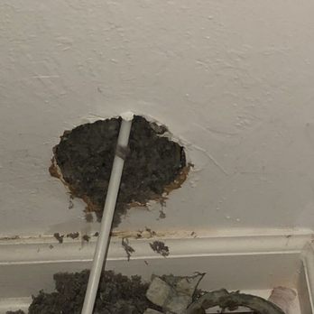 Purify Air Solutions - Air Duct Cleaning Near Me - Oakland, California Purify Air Solutions - Air Duct Cleaning Near Me - Oakland, California