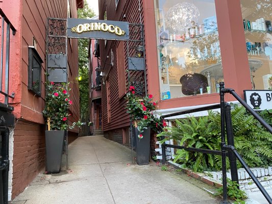 Orinoco Harvard Square by null
