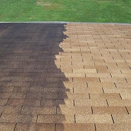 The Moss Busters - Home Cleaning Near Me - Everett, Washington