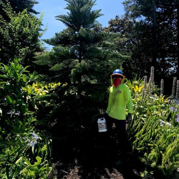 Moon Valley Nurseries - undefined - Tree Services Near Me - Irvine, California Moon Valley Nurseries - undefined - Tree Services Near Me - Irvine, California