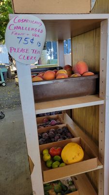 The Fruit Bowl by null