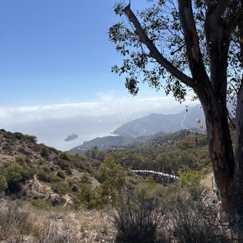Catalina Island - Tours Near Me - Avalon, California Catalina Island - Tours Near Me - Avalon, California