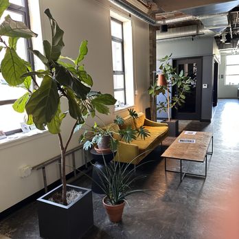 Intersectional Fertility - Waiting area. - Acupuncture Near Me - Denver, Colorado Intersectional Fertility - Waiting area. - Acupuncture Near Me - Denver, Colorado
