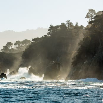 Fast Raft Ocean Safaris - Misty shore in inner cove, taken on Fast Raft cruise by Collin McKahin - Whale Watching Tours Near Me - Monterey, California