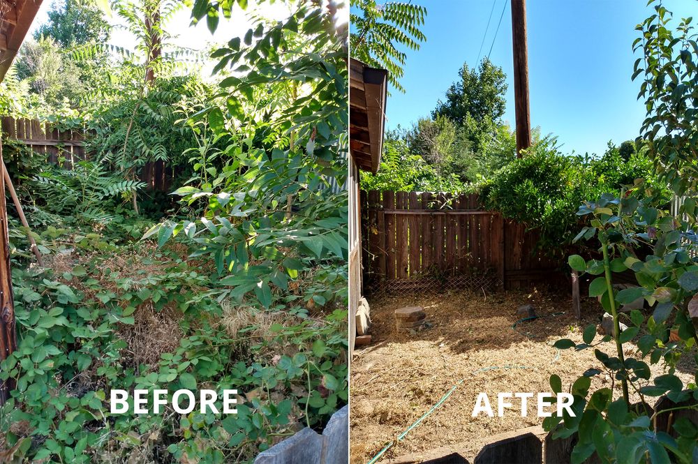 CUT AND TRIM YARD SERVICE Updated September 2024 14 Photos Redding, California Gardeners