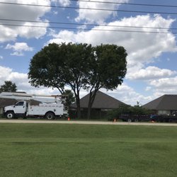 Lombard Tree Service