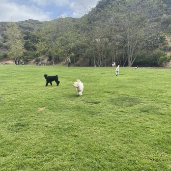 Laguna Beach Dog Park - Dog Parks Near Me - Laguna Beach, California Laguna Beach Dog Park - Dog Parks Near Me - Laguna Beach, California