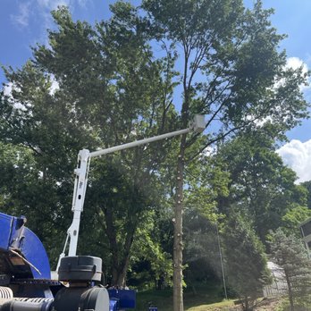 Mr Ed's Tree Service - Tree Services Near Me - Gibsonia, Pennsylvania Mr Ed's Tree Service - Tree Services Near Me - Gibsonia, Pennsylvania